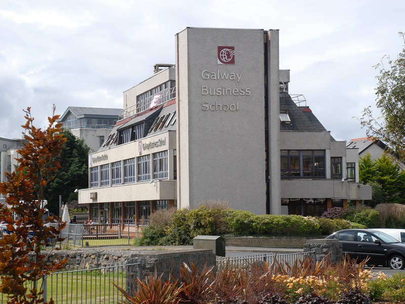 Galway Cultural Institute (от 16 лет)