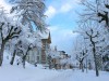 Leysin American School, Summer (10 – 17 лет) 