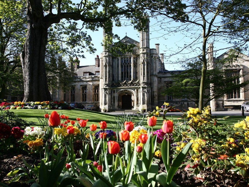 St school. Школа St Peter’s School. STPETER’S School, Йорк – 627 год. St Peters School York. St Peter’s, York..
