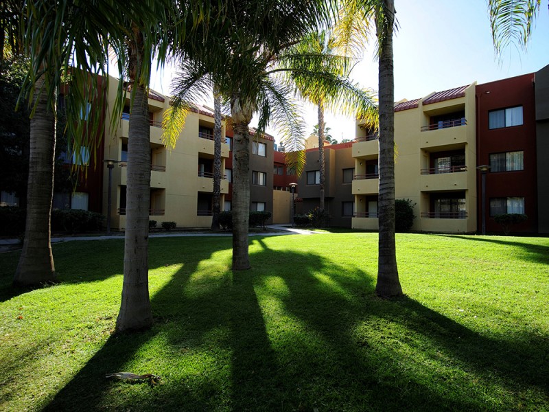 FLS, Explore California Junior (12-14 лет)